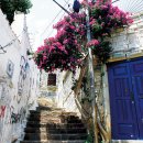 마법의언덕 이미지