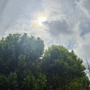 홍차이나 이미지