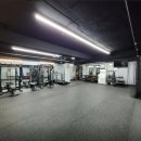 피지컬프로 이미지