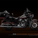 black pear 이미지