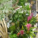 예당화원 이미지