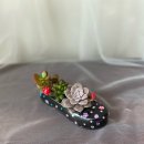 고무신 꾸며 다육이 심기 | 수업 출강 - 파주 장애인센터원예수업 고무신다육이 심기 고무신 미니정원 복지관원예체험 일산파주원예...