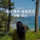 김해공항안내소(국내선) | 부산 제주 당일치기 여행 코스 김해공항 국내선