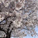 보문호반길 | 경주 여행에서 여유를 찾다 경주 보문호반길