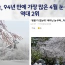 도곡치유동물병원 이미지