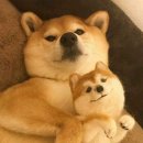 먹거리천국 이미지