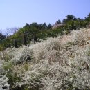 거제자연휴양림 이미지