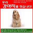 해피컴 이미지