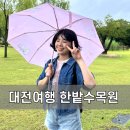 대전여행 가볼만한곳 한밭수목원 산책로 입장료 무료