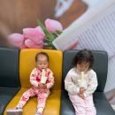 산새소리어린이집 | [캠핑 후기] 경주 아이랑 캠핑장 추천 반딧불이 캠핑장 다녀왔어요.