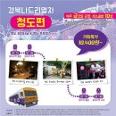 나드리여행사 이미지