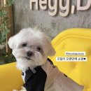리리쁘앙