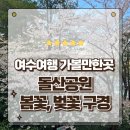 여수정형외과(대교입구) | 여수여행 가볼만한곳 돌산대교 뷰와 분홍빛 벚꽃의 만남 돌산공원 방문기