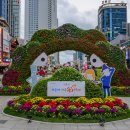 해운대 국화 축제 이미지