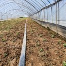 달밭농장 이미지