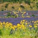 동해시-50 이미지