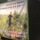 꼼장어와춤을 이미지