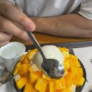 돔수산활어상차림 이미지