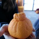 은영농장 이미지