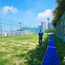 임호체육공원 축구장 이미지