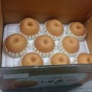 하북한사랑의원 이미지