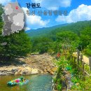 횡성산울림오토캠핑장 | 강원도 계곡 횡성 산울림캠핑장 아이랑 캠핑 후기