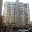 월봉로 Daum카페
