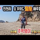 3월 13일 인천시 소 무의도 탐사 해루질 이미지