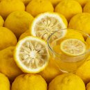 차호로록 이미지