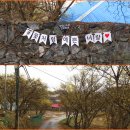 양평 산수유축제&amp;응봉산 개나리축제 이미지