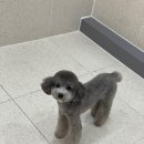 더키움 동물병원 이미지