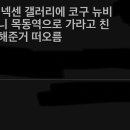 펌글) 목동 하니깐 넥센 갤러리에 코구 뉴비 팁 물어봤더니 목동역으로 가라고 친절하게 안내해준거 떠오름 이미지