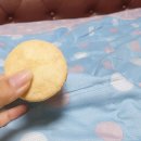 국제브레인 협동조합 이미지