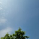 충일땅콩