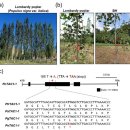 제일탄소㈜ 이미지