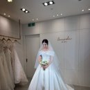 [부산] 코코드브라이덜 본식 드레스셀렉 후기