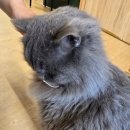 집사의하루 혜화점 이미지