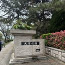 당고 맛집 | 현지 오코노미야끼 식당 추천 | 여행 한 그릇 버스 투어 후기 | 아디다스 오리지널 | 야타이