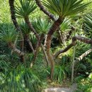 국제대학교 이미지