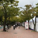야외마당 콘서트 6회차 | 2025 그랜드민트페스티벌 그민페 GMF 토요일 후기 (라인업, 준비물, 꿀팁 / 폴킴 셋리스트)