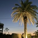 탐라당구장 이미지