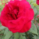 빛날시간 이미지