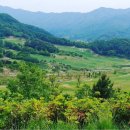 장수골프연습장 이미지