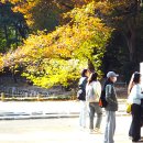 고궁의 가을을 걸으며~~ 이미지