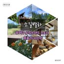 🌳소길별하 (효리네민박/제주로컬브랜드스토어)