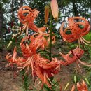 울안농장 이미지