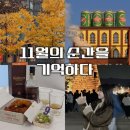 신반포로45길 29-15 (1) | 늦가을 빛에 물든 11월 일상과 여행 기록