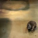 테이블에이 이미지