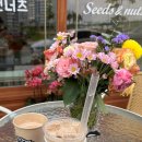 씨드앤너츠평택고덕점 이미지