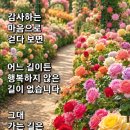 망각의계절 이미지